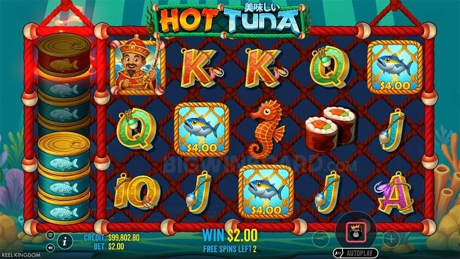 Detailed view of 8K8 register bonus offer